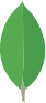 mongodb